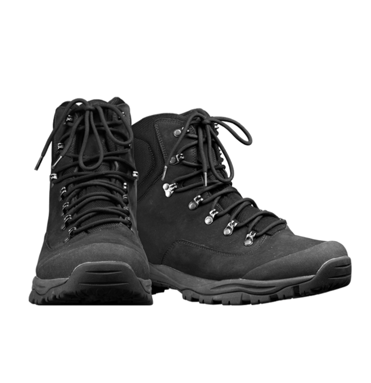 BW KAMPFSCHUHE in 2. Farben