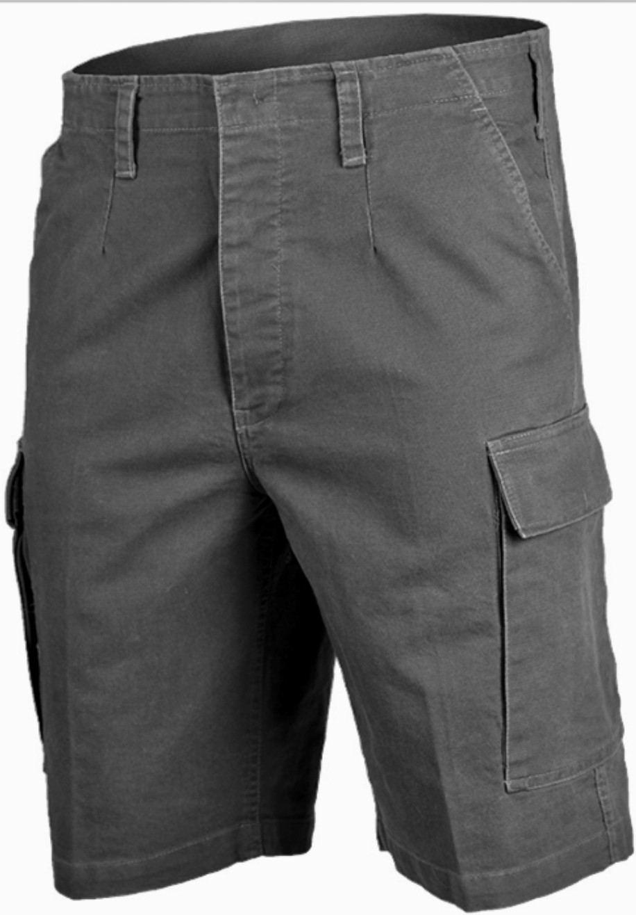 BW BERMUDA MOLESKIN PREWASH in 2. Farben