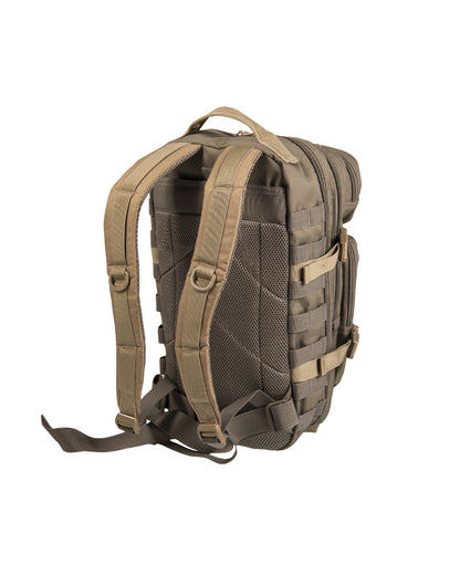 US ASSAULT PACK SMALL in 9. Farben