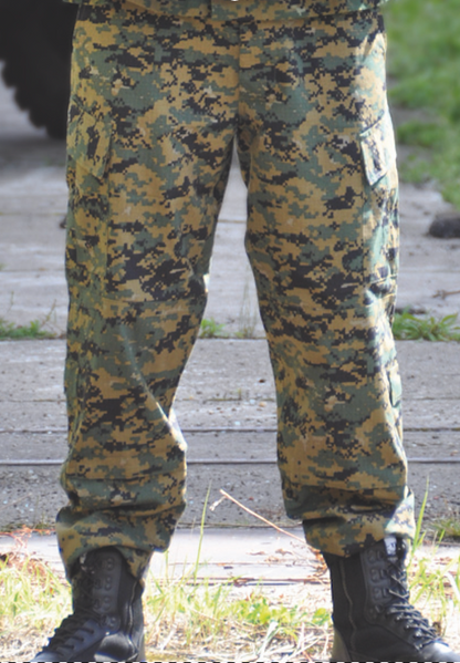 US ACU FELDHOSE RIPSTOP in 5. Farben