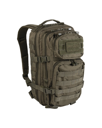US ASSAULT PACK SMALL in 9. Farben